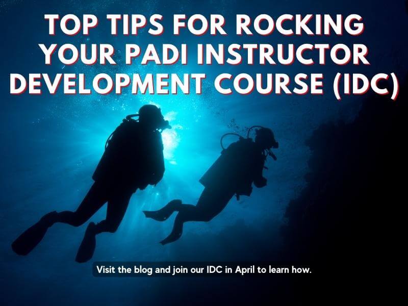 Top Tips For Rocking Your PADI Instructor Development Course (IDC